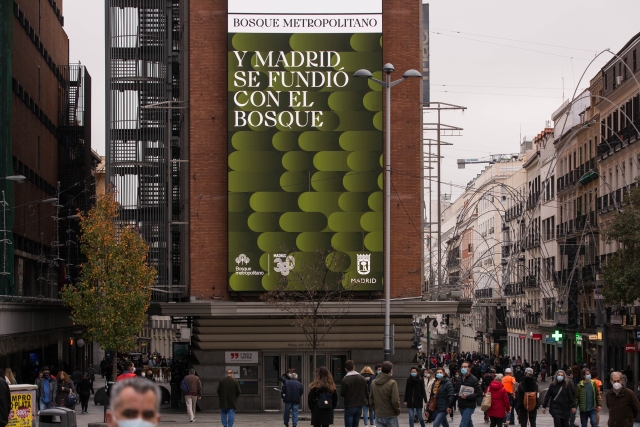 Rubio y Del Amo