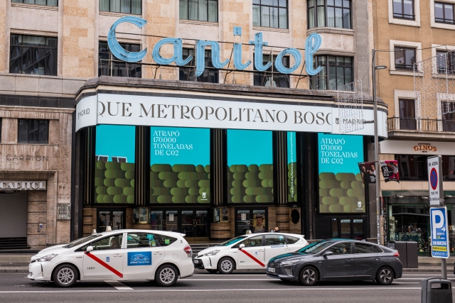 Rubio y Del Amo