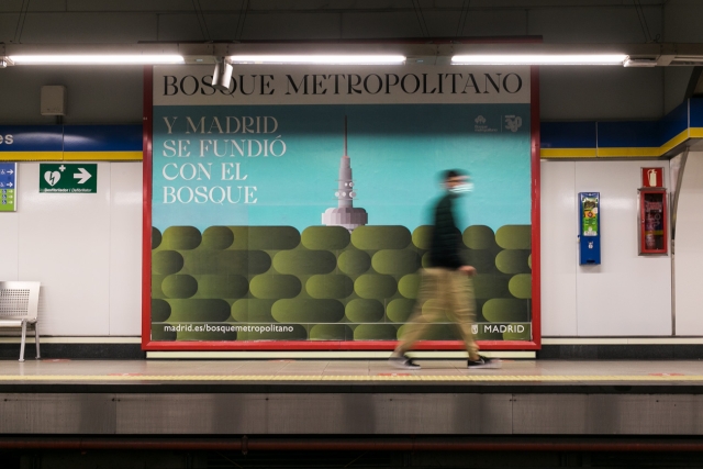 Rubio y Del Amo